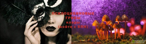 прущая мука Зеленокумск