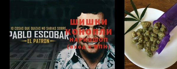 стаф Инсар