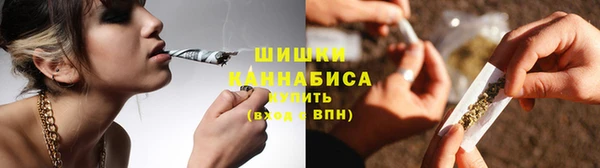 стаф Инсар