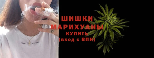 стаф Инсар