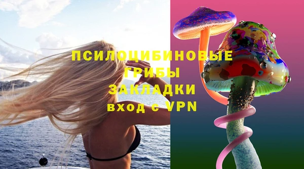 соль курить ск Зерноград